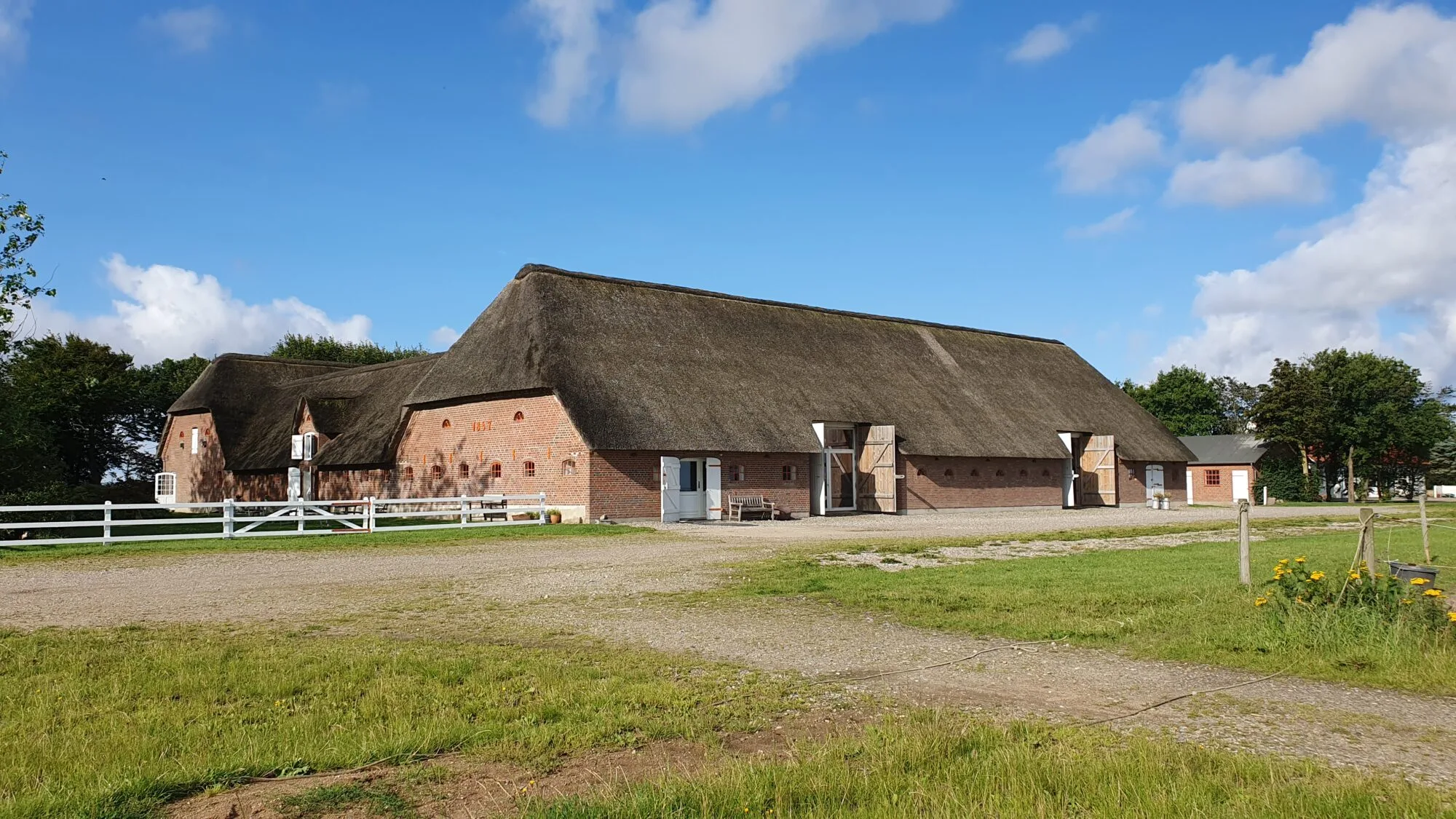 Festlige Festival grill menu med musik