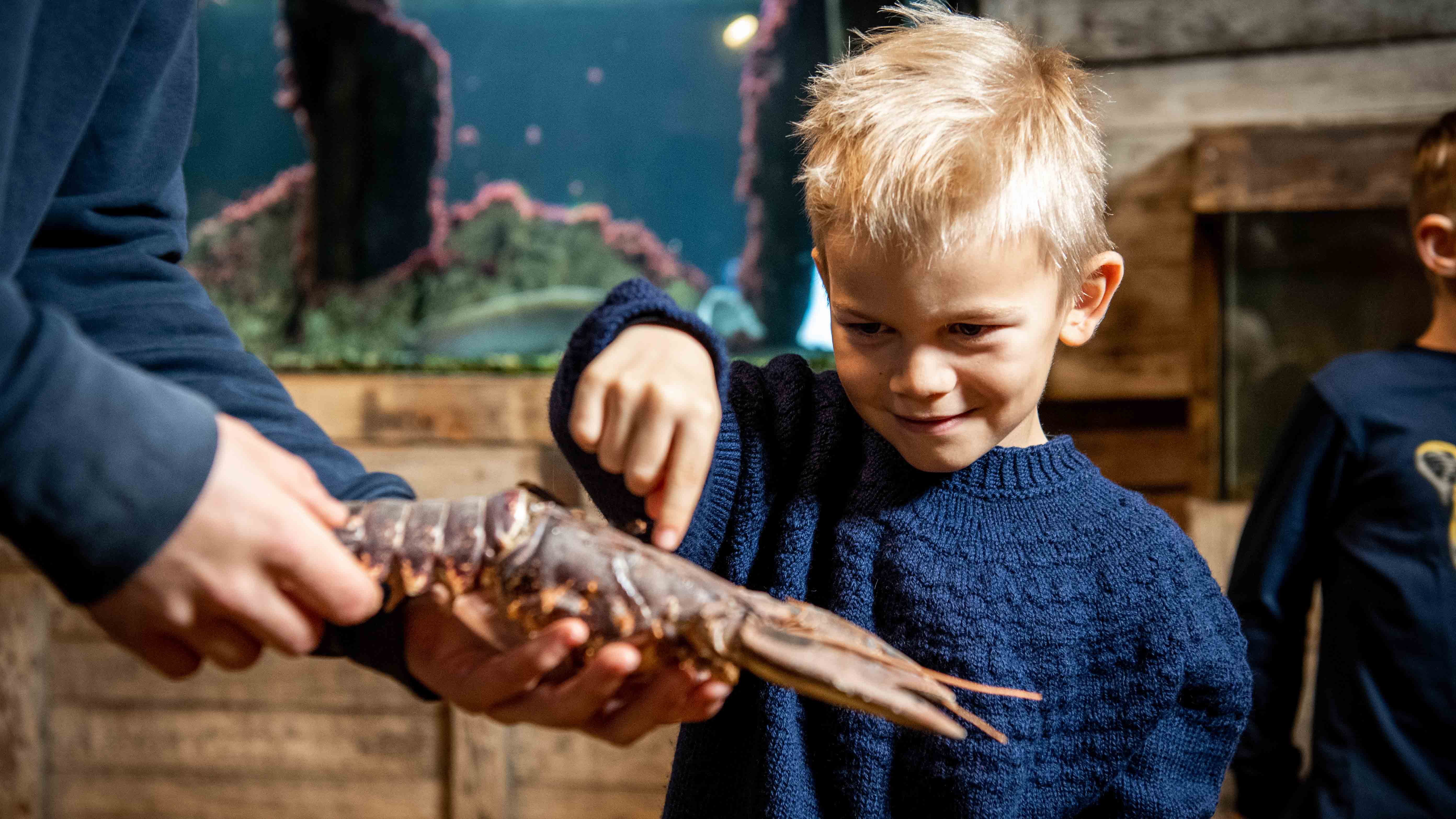 Herbstaktivitäten für kleine und große Meeresfans - Thyborøn
