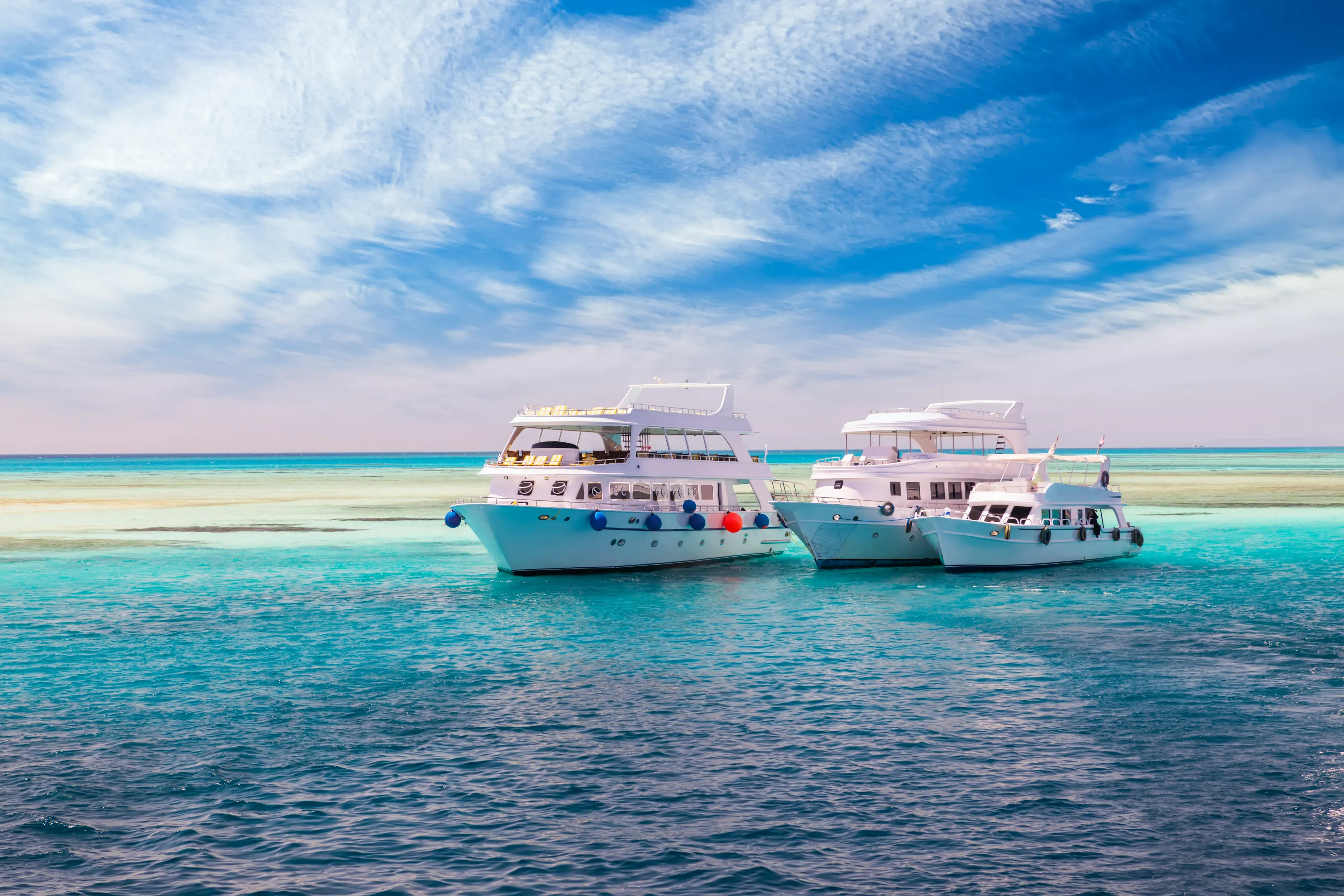 Orange Bay Boat Sunset boat tour with Dolphin viewing 2